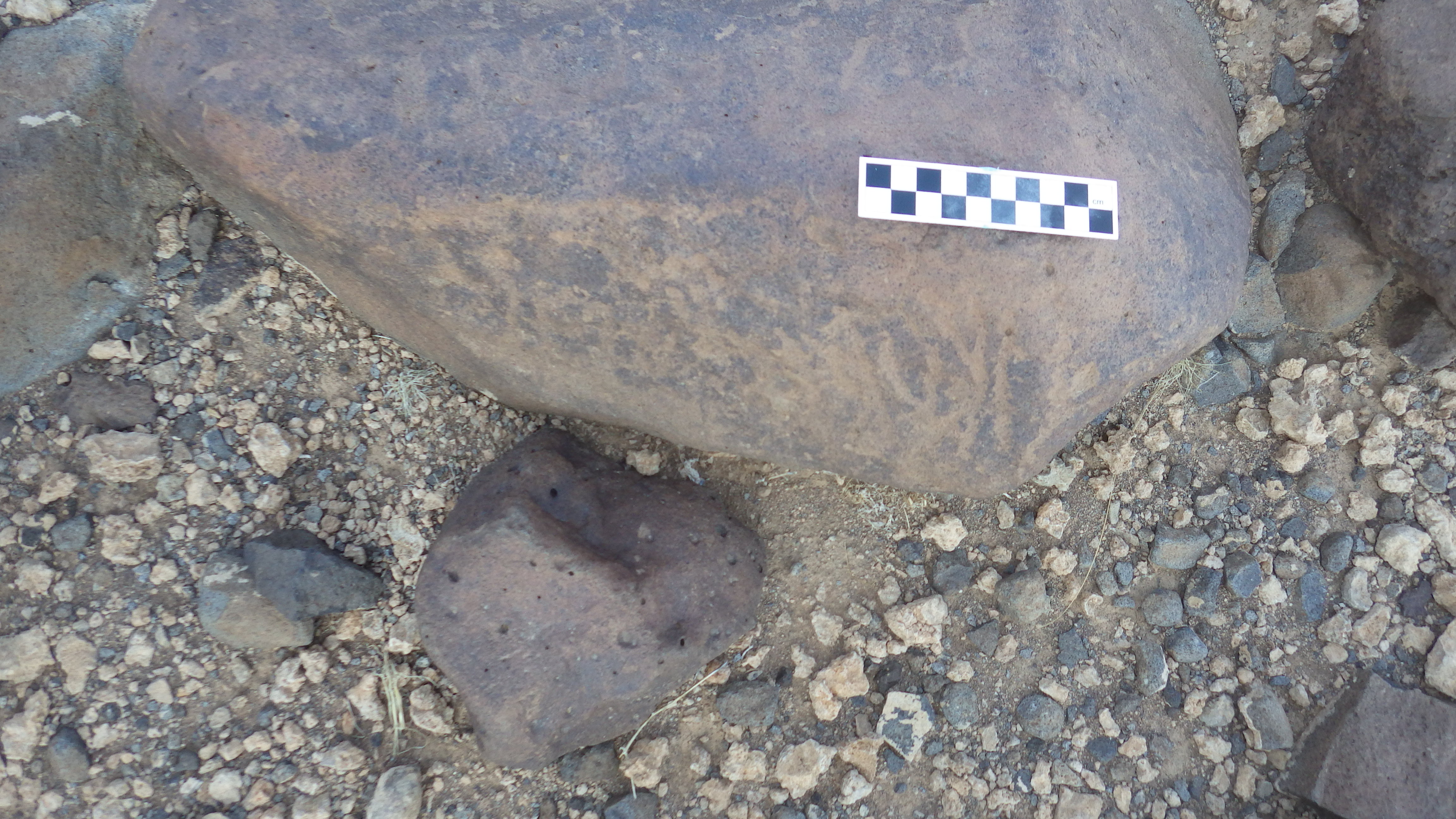 Image of siglum BES20 1122