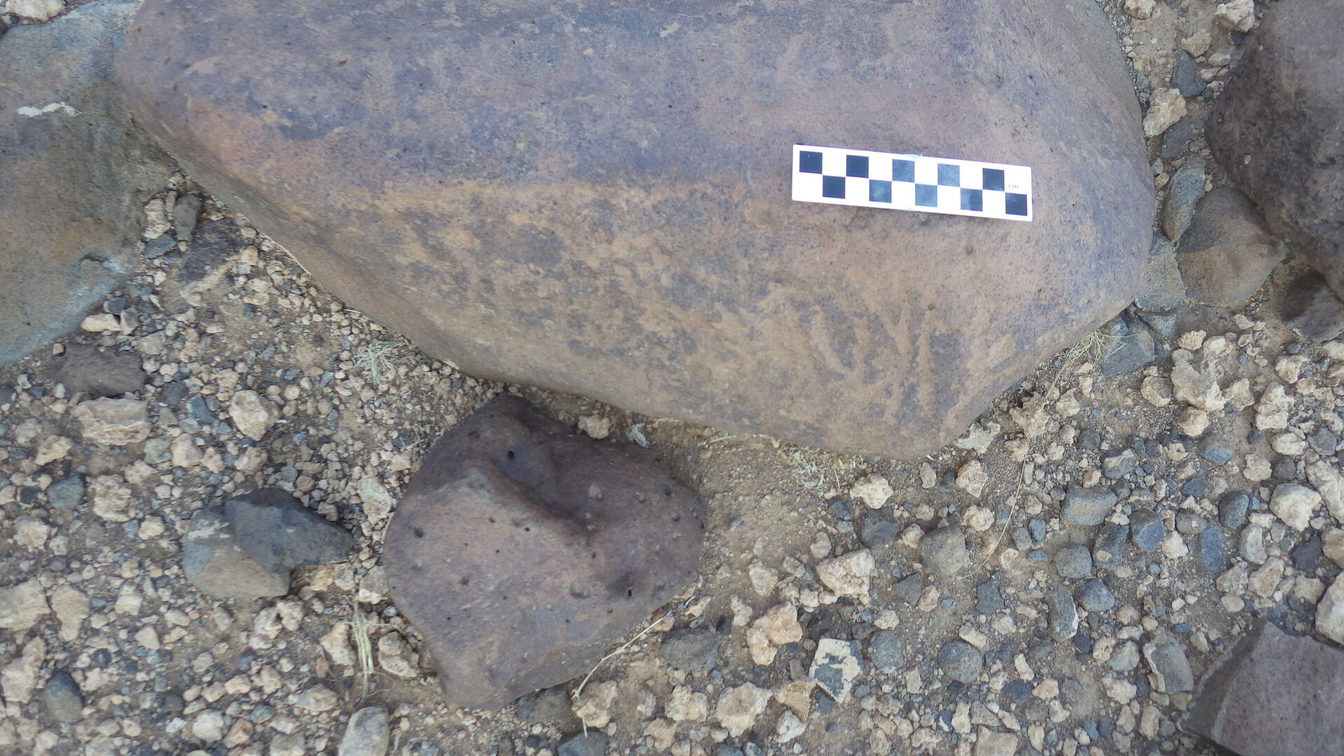 Image of siglum BES20 1122
