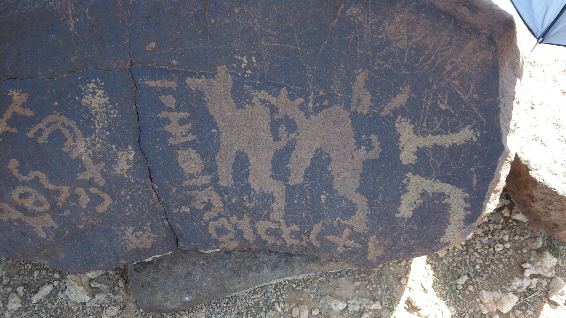 Image of siglum BES20 1123