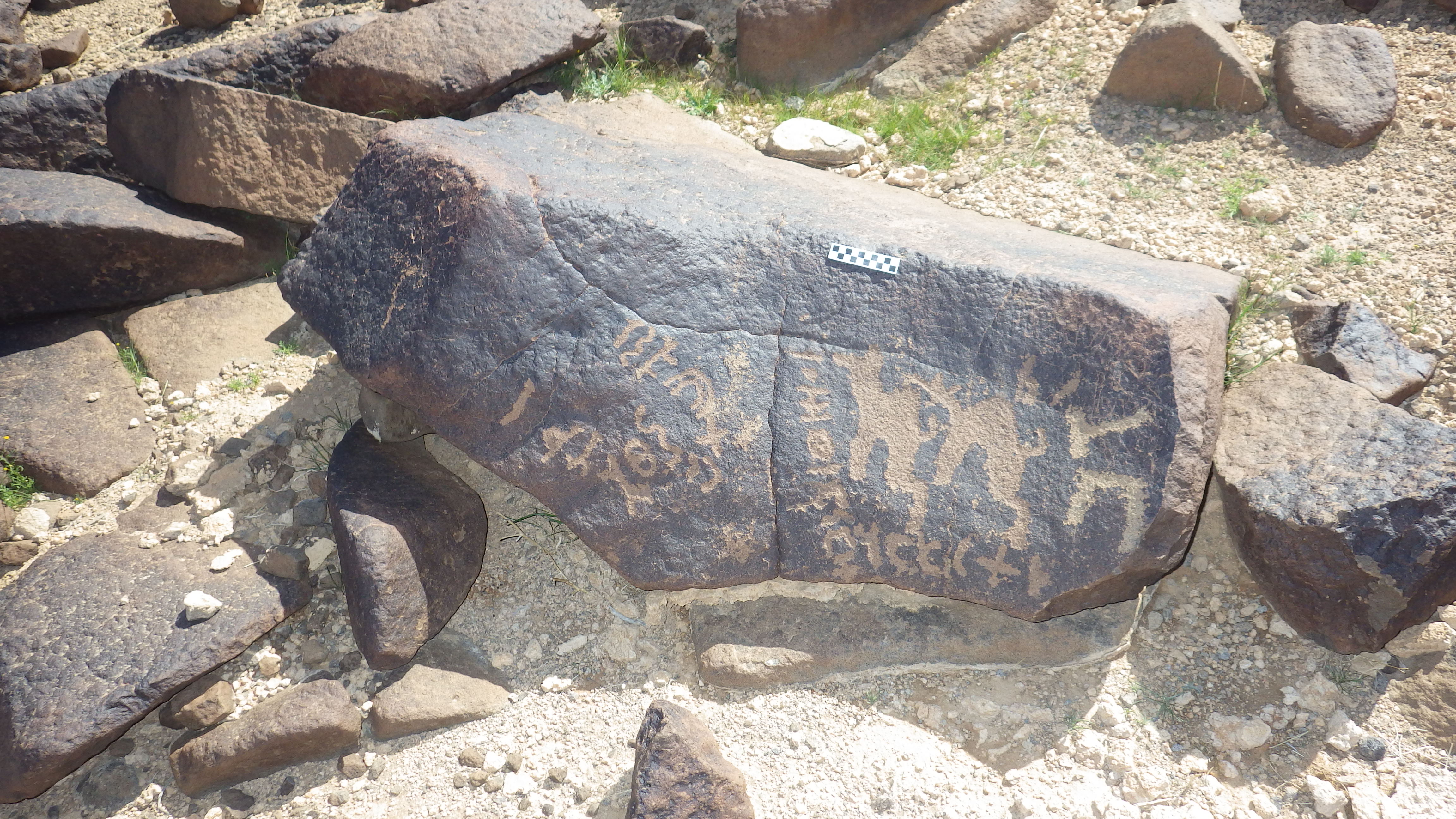 Image of siglum BES20 1124