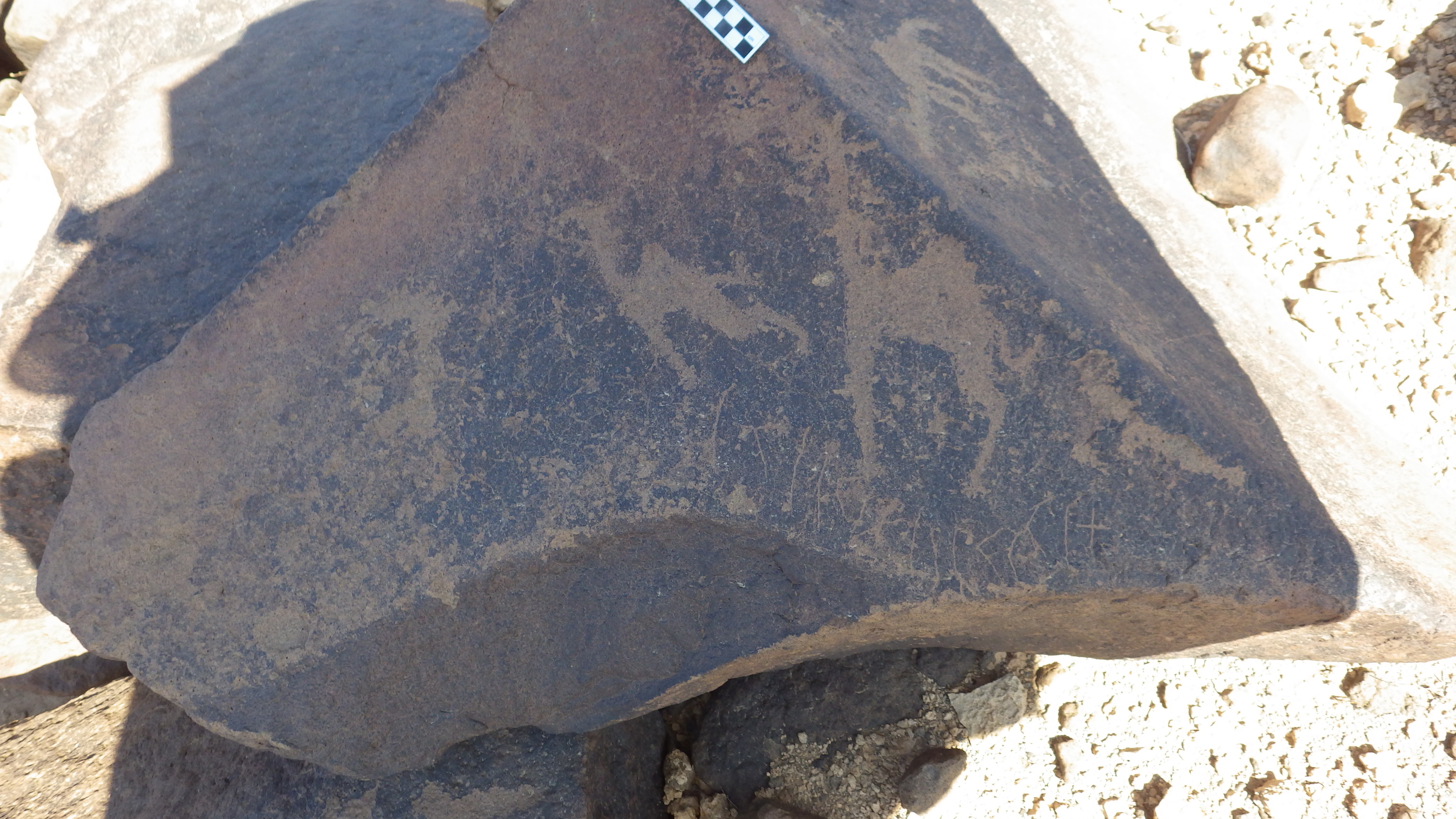 Image of siglum BES20 1125