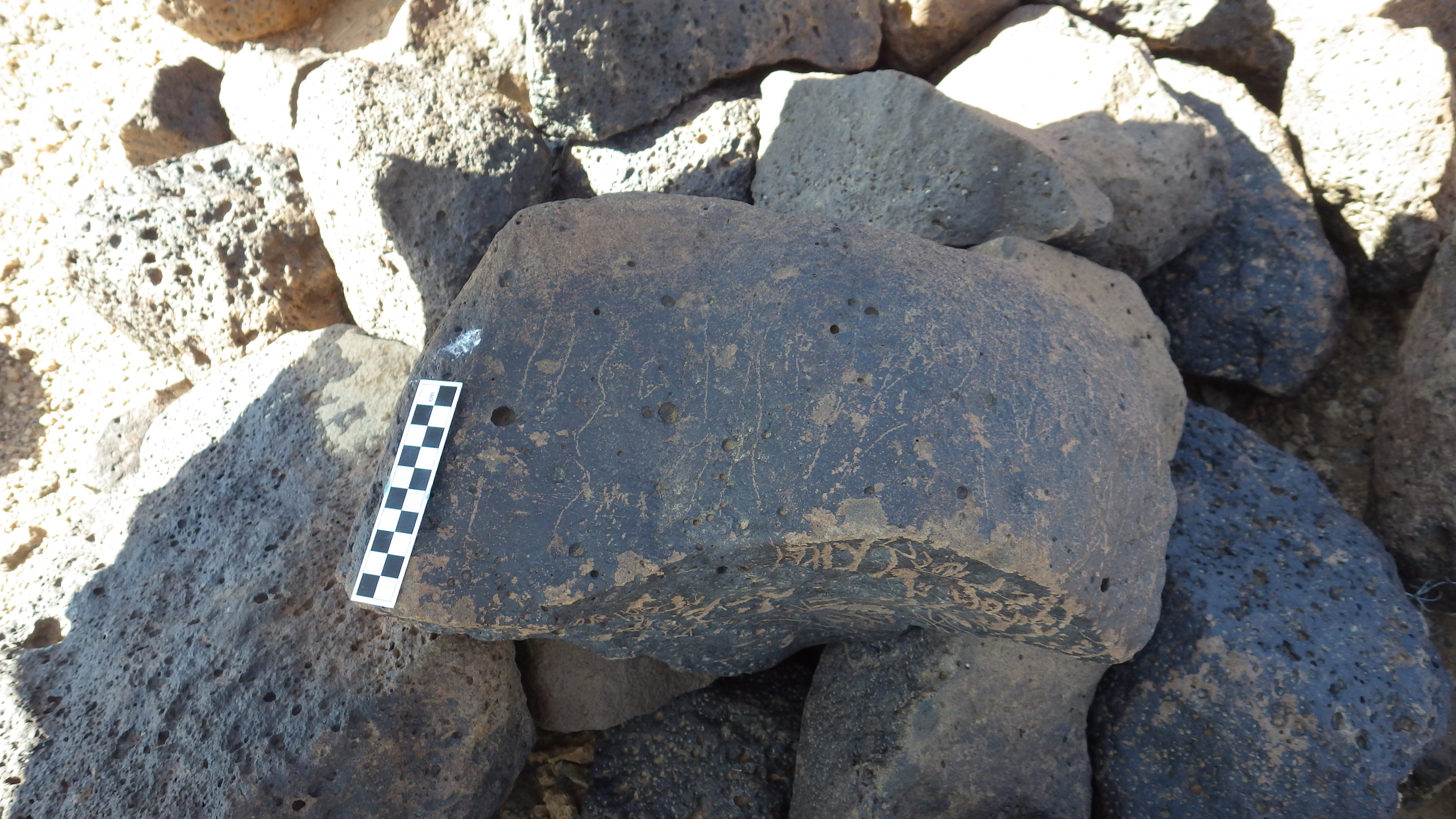 Image of siglum BES20 1131