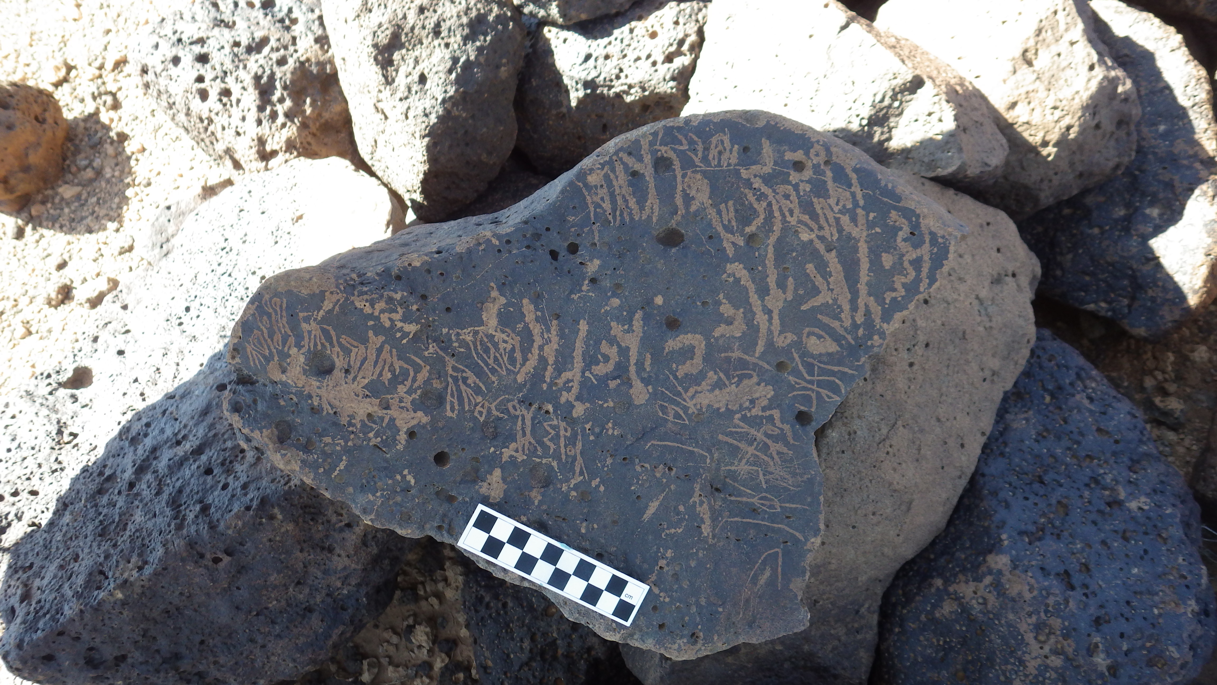 Image of siglum BES20 1134