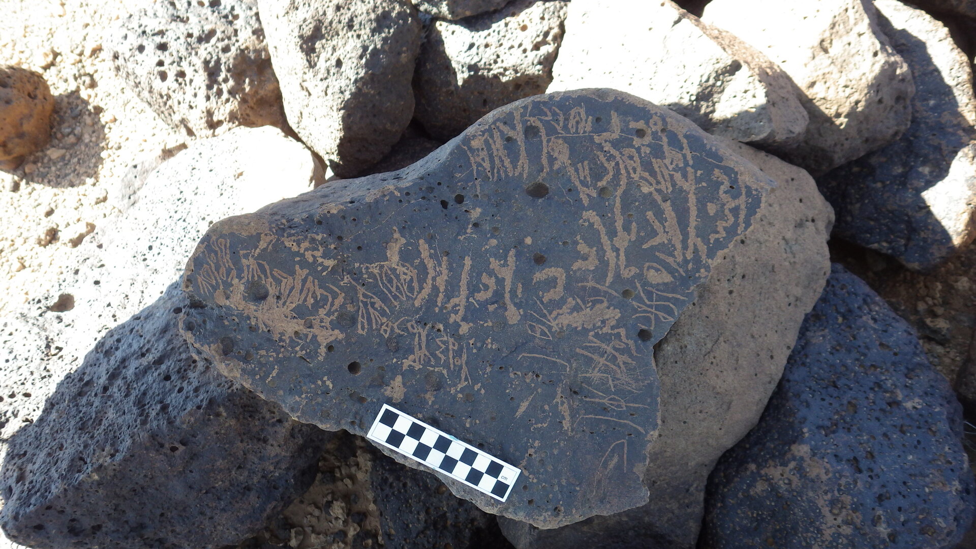 Image of siglum BES20 1135