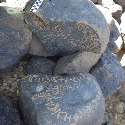 Image of siglum BES20 1136