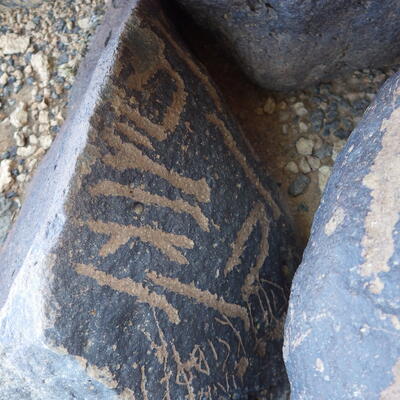 Image of siglum BES20 1142