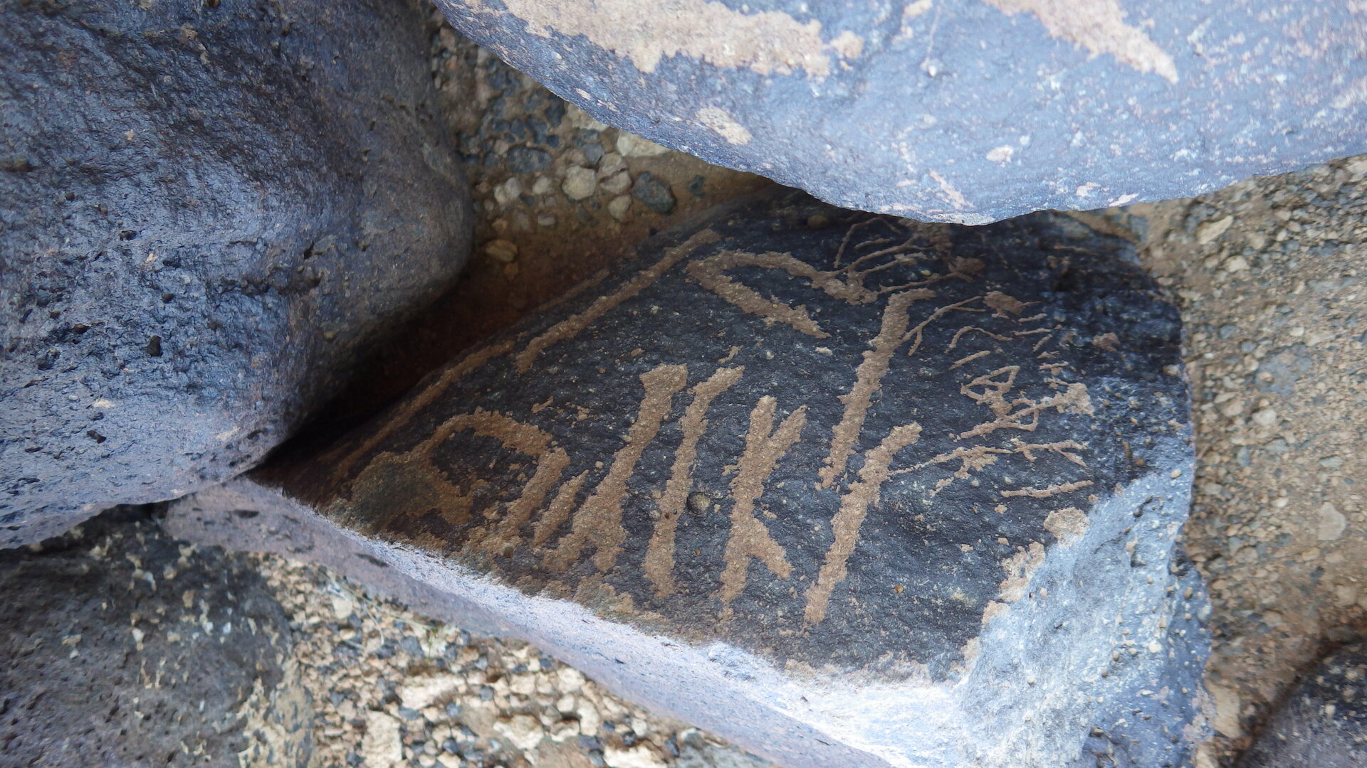 Image of siglum BES20 1143