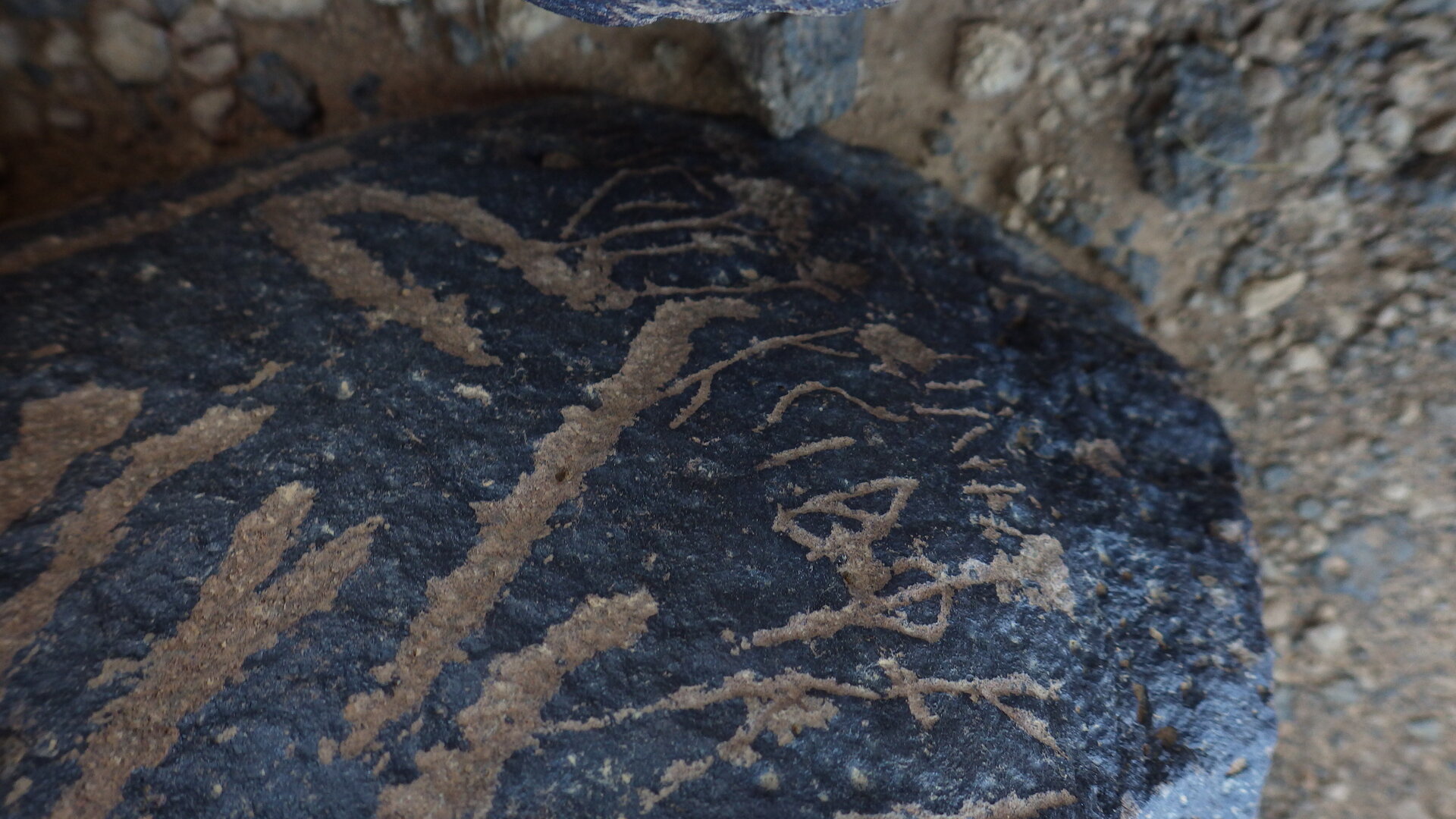 Image of siglum BES20 1144