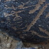 Image of siglum BES20 1144