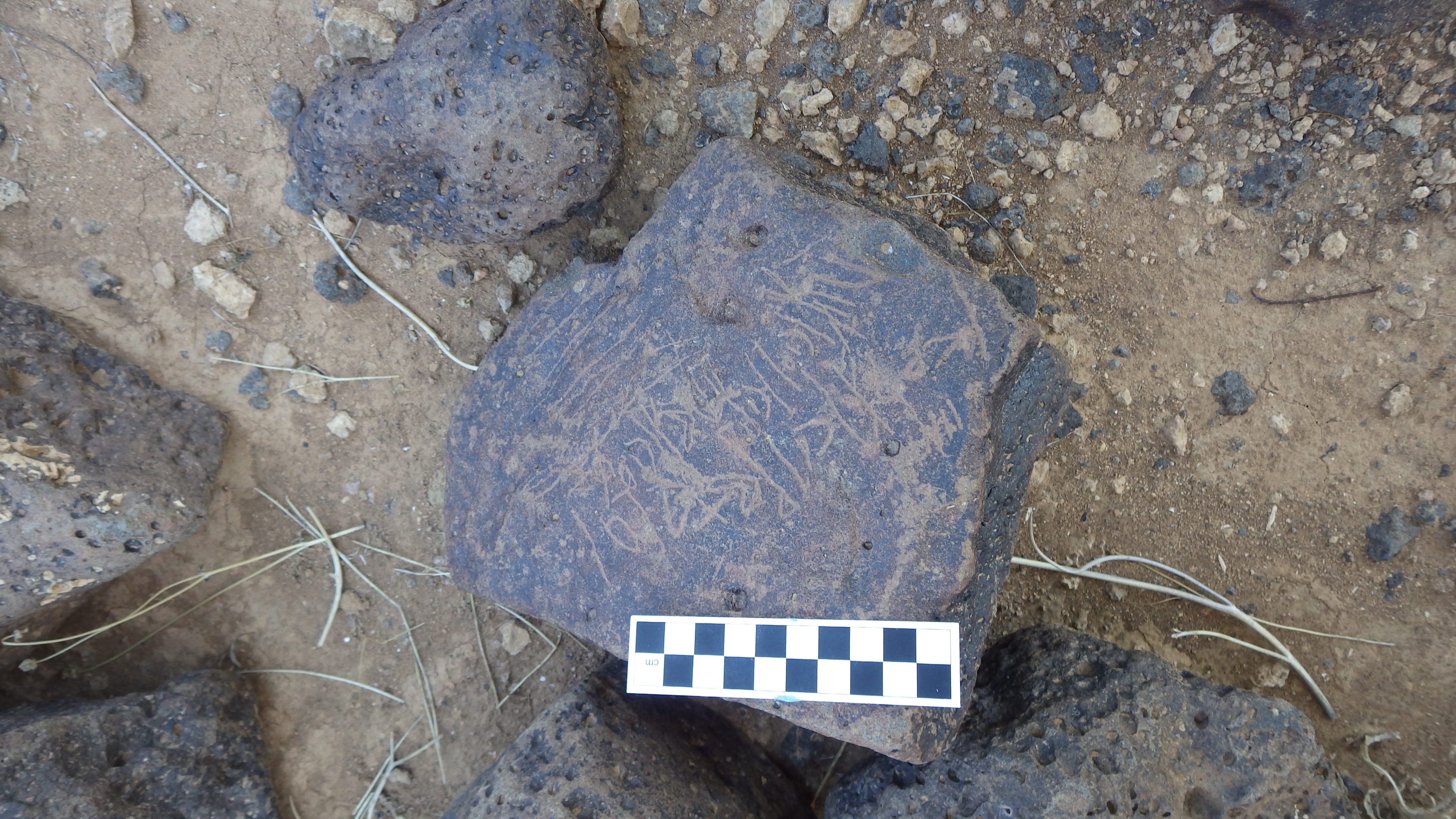 Image of siglum BES20 1146