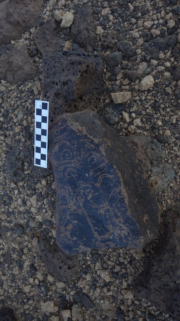 Image of siglum BES20 1152