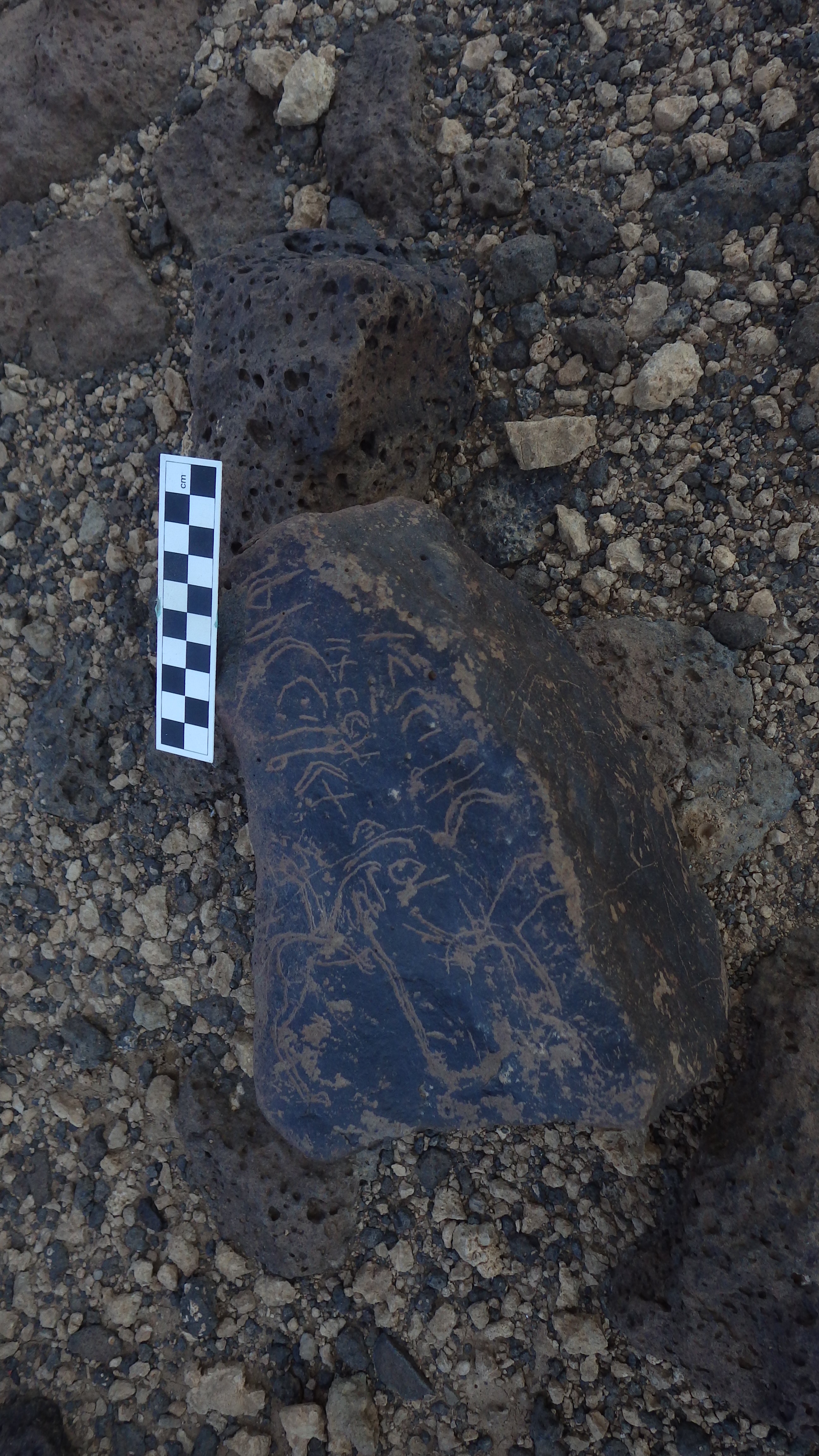 Image of siglum BES20 1154