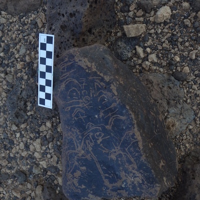 Image of siglum BES20 1154