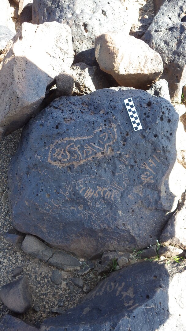 Image of siglum BES20 1155