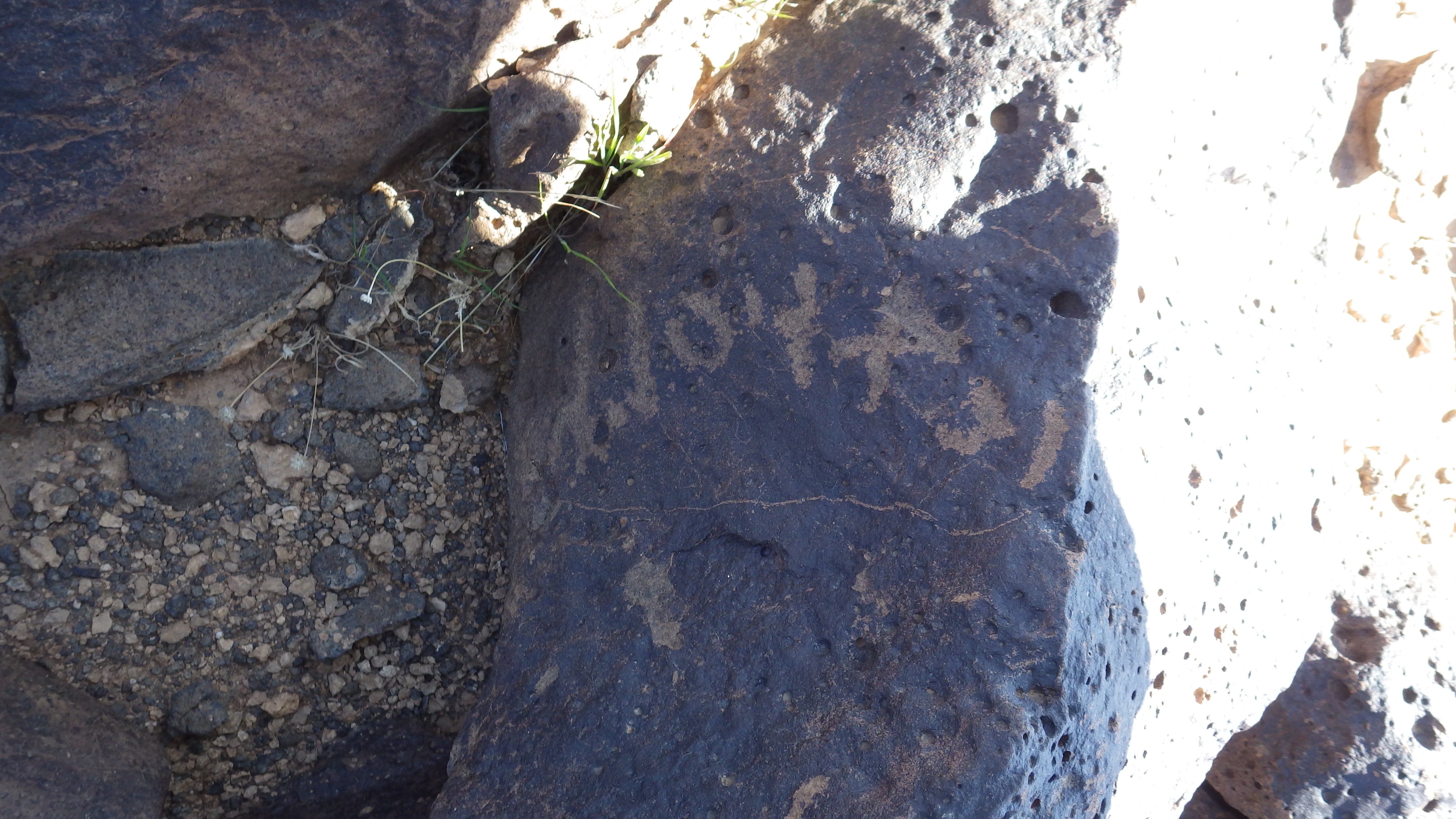 Image of siglum BES20 1160