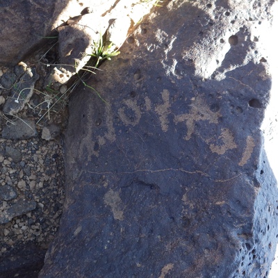 Image of siglum BES20 1160