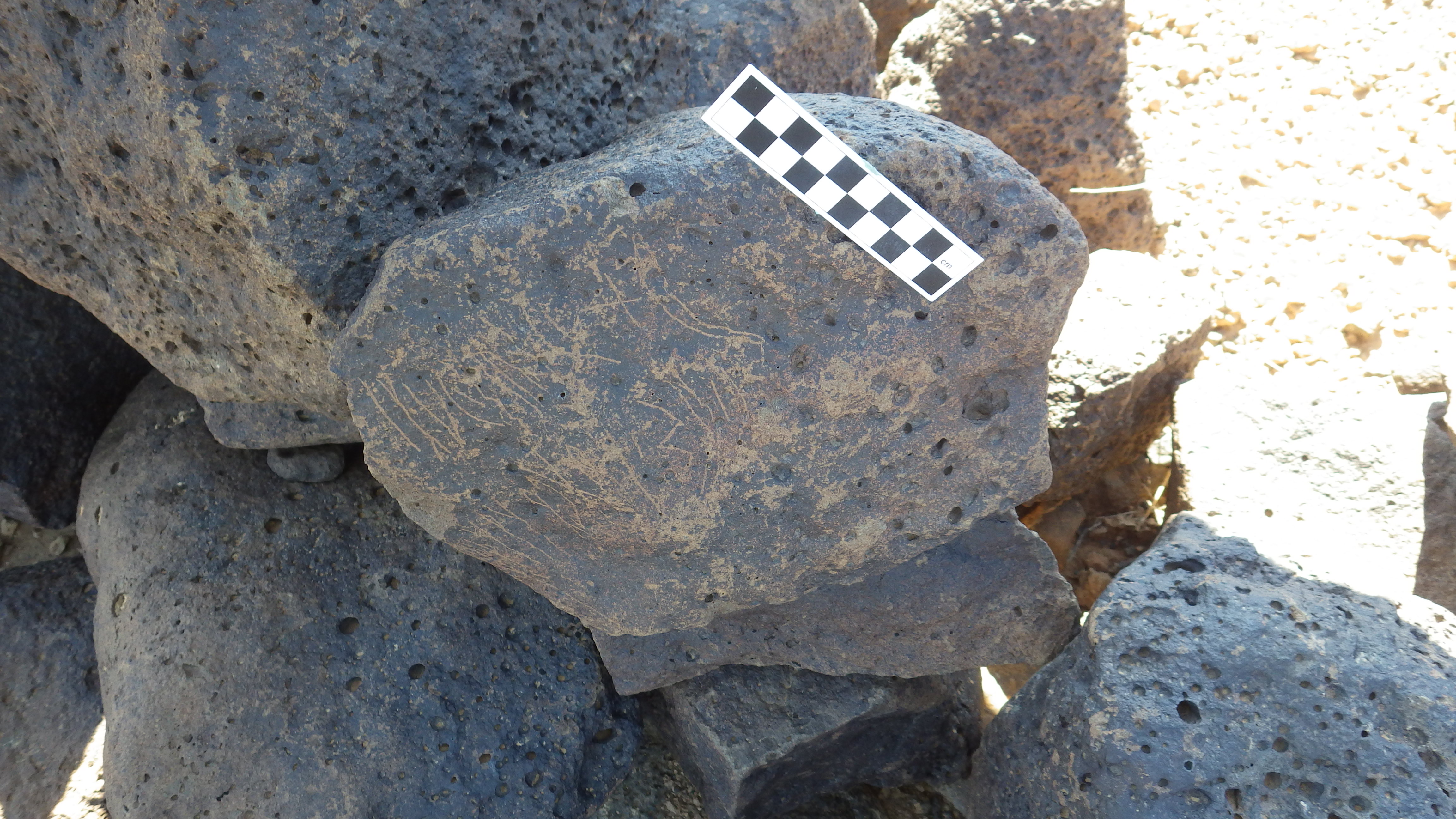 Image of siglum BES20 1167