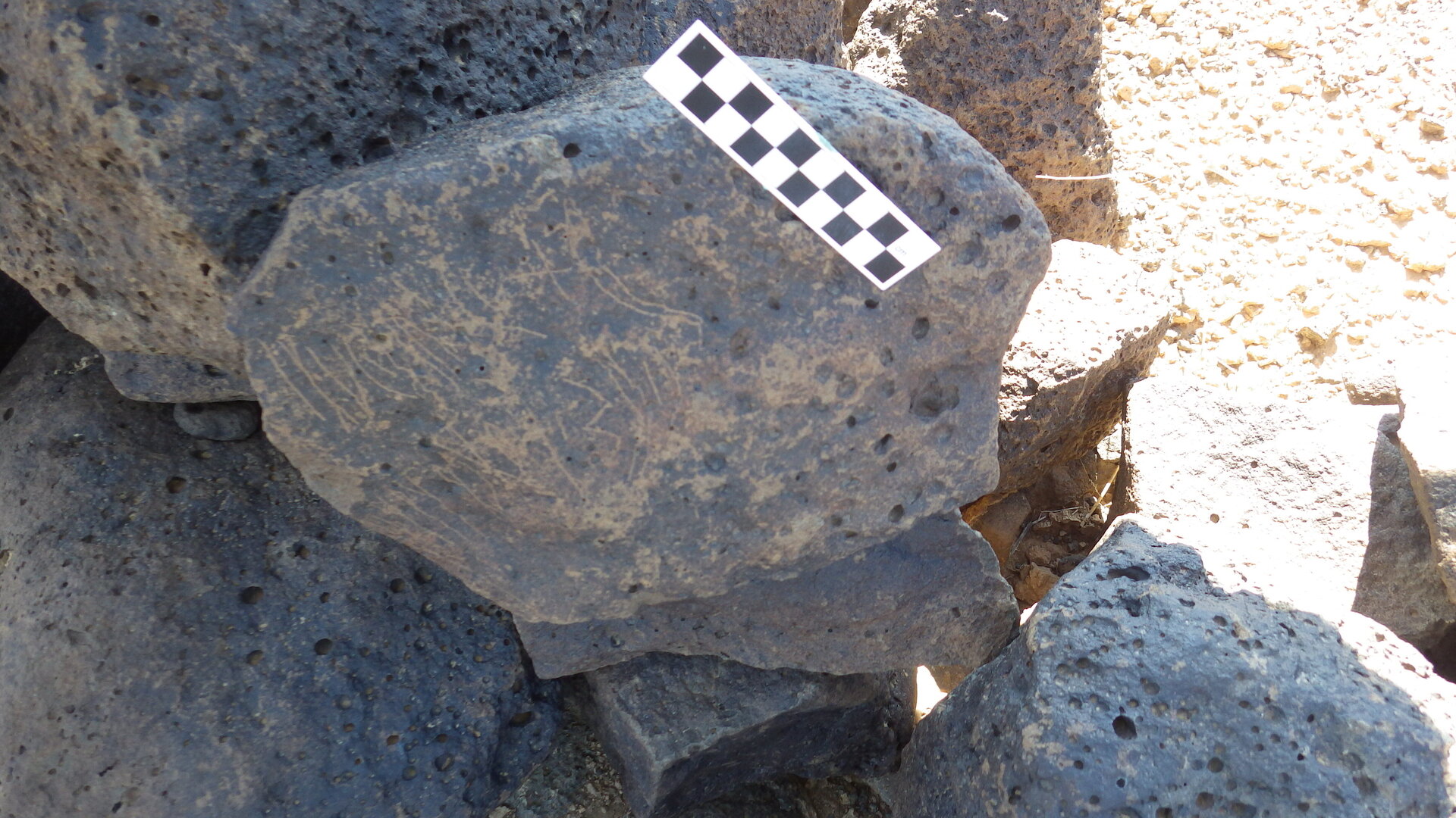 Image of siglum BES20 1167