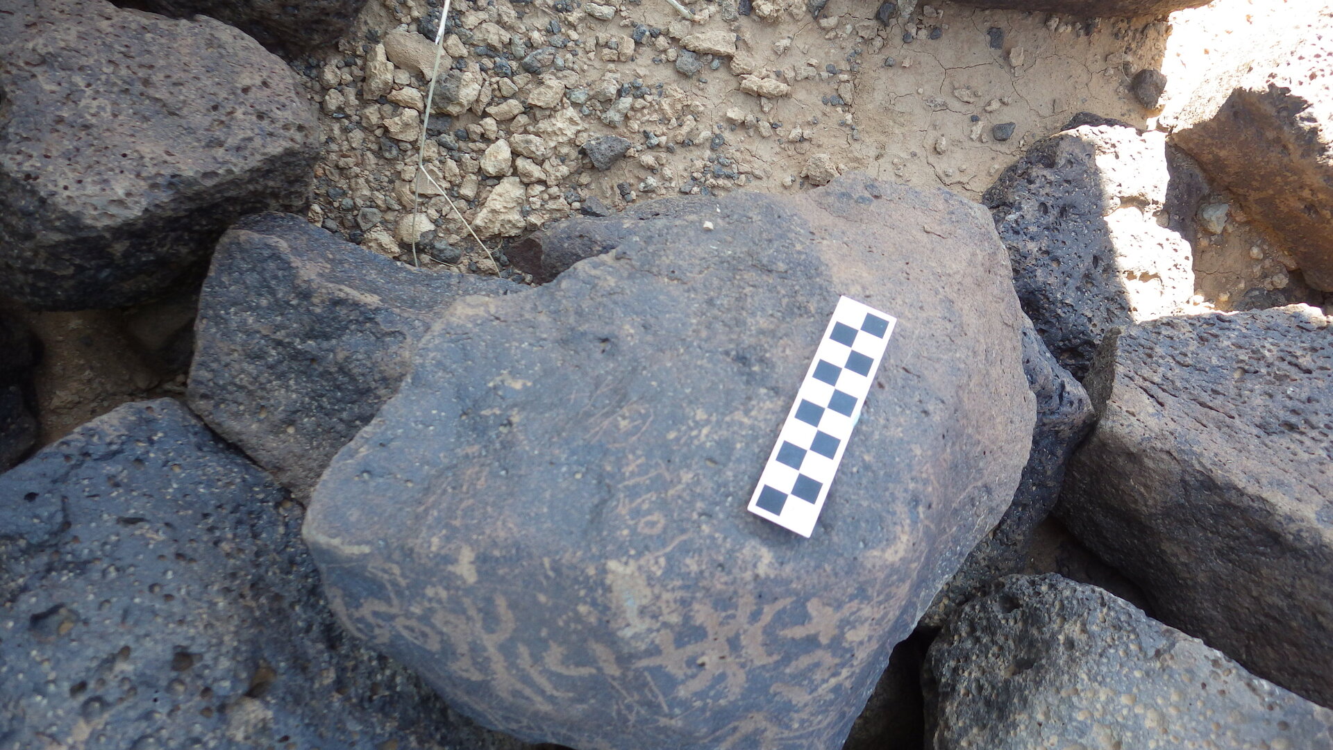 Image of siglum BES20 1170