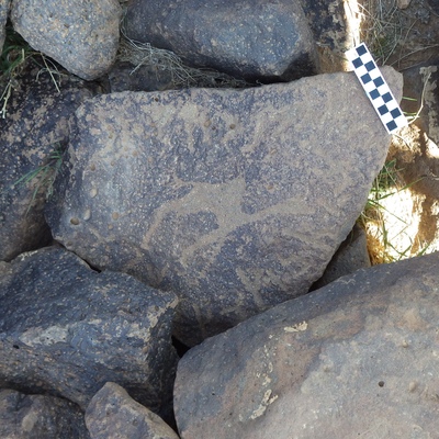 Image of siglum BES20 1174