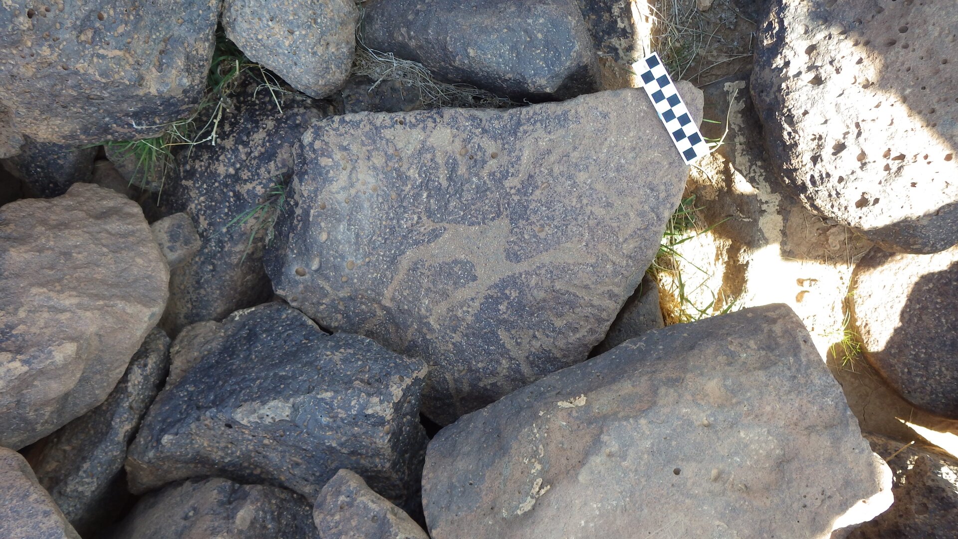 Image of siglum BES20 1174