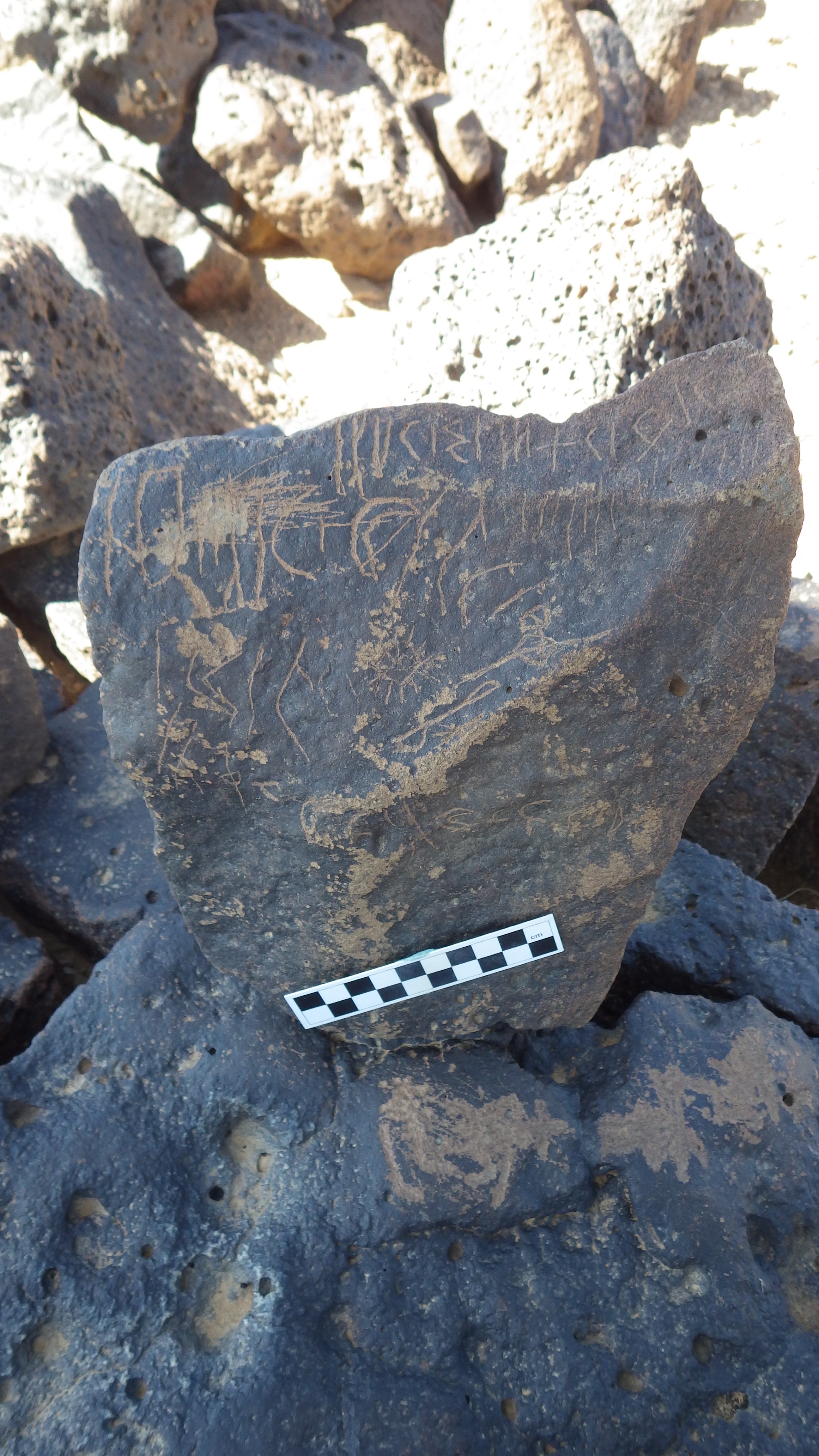 Image of siglum BES20 1181
