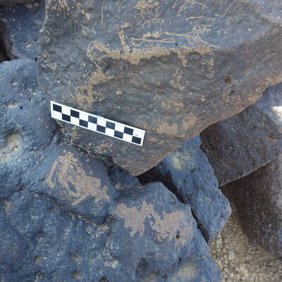 Image of siglum BES20 1184