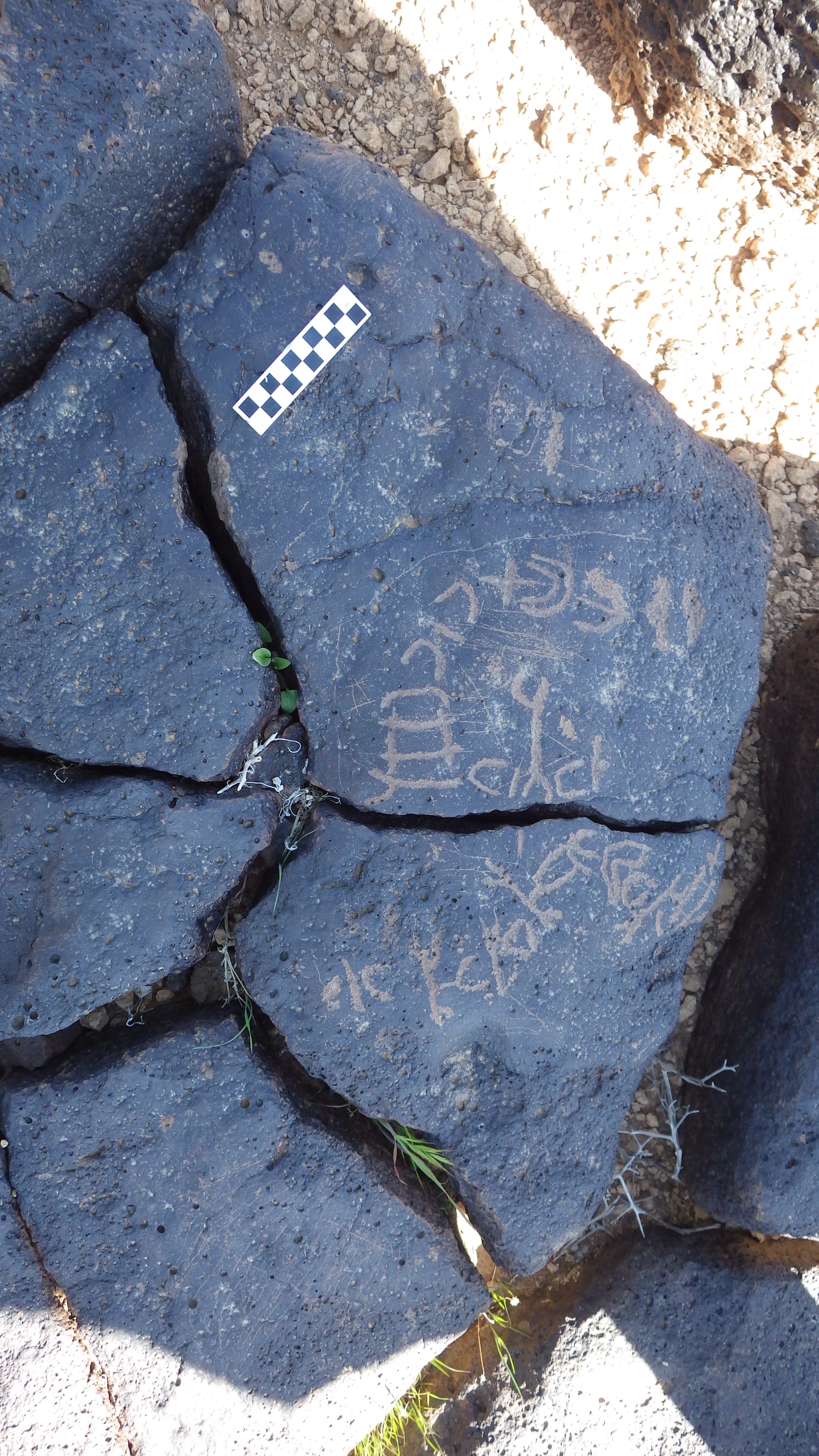 Image of siglum BES20 1188