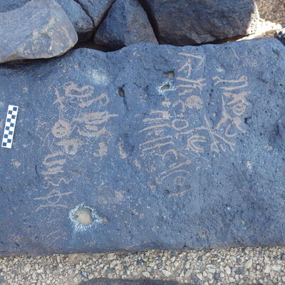 Image of siglum BES20 1195