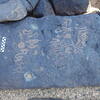 Image of siglum BES20 1195