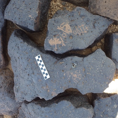 Image of siglum BES20 1203