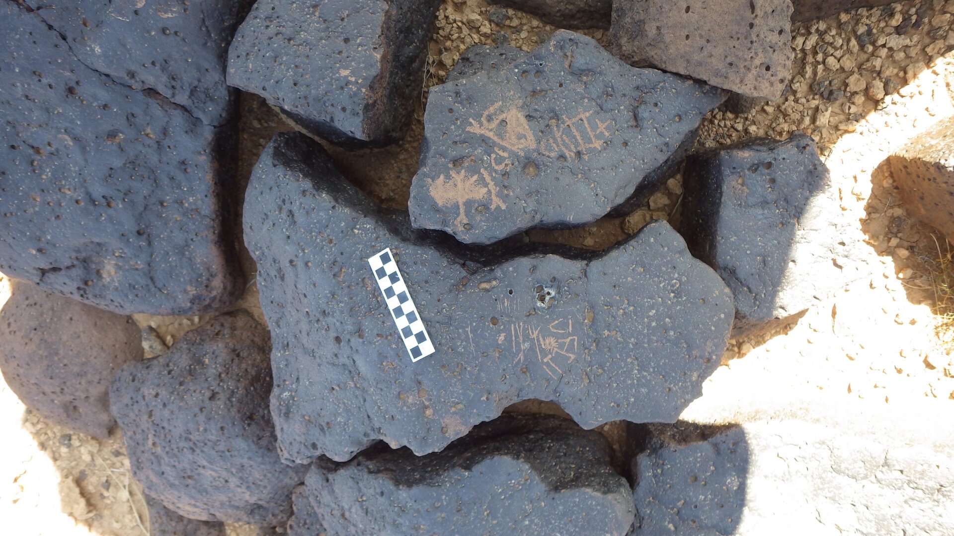 Image of siglum BES20 1203