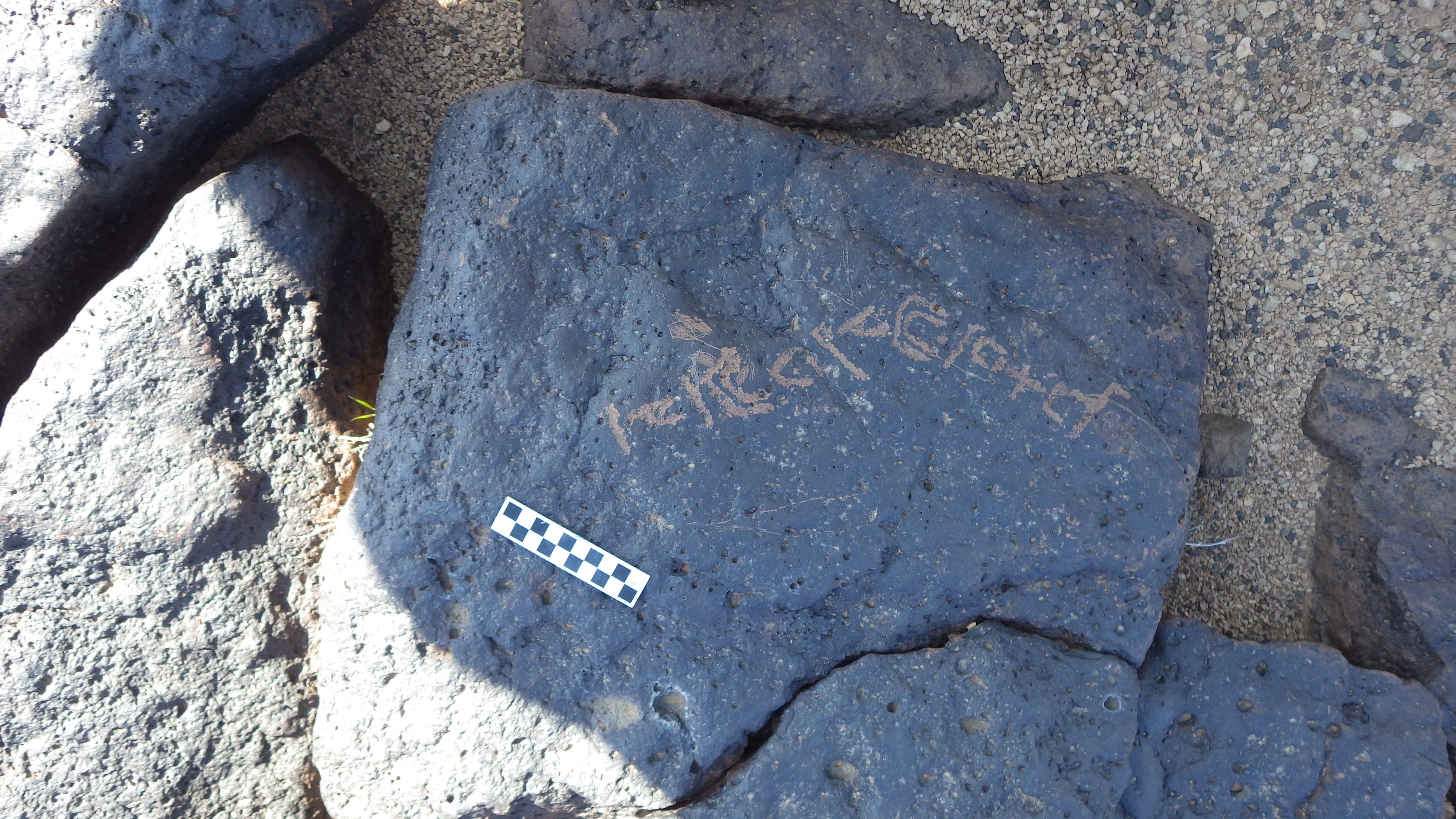 Image of siglum BES20 1205