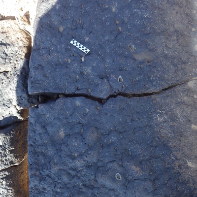 Image of siglum BES20 1206