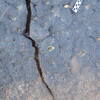 Image of siglum BES20 1206