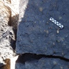 Image of siglum BES20 1207