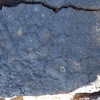 Image of siglum BES20 1210
