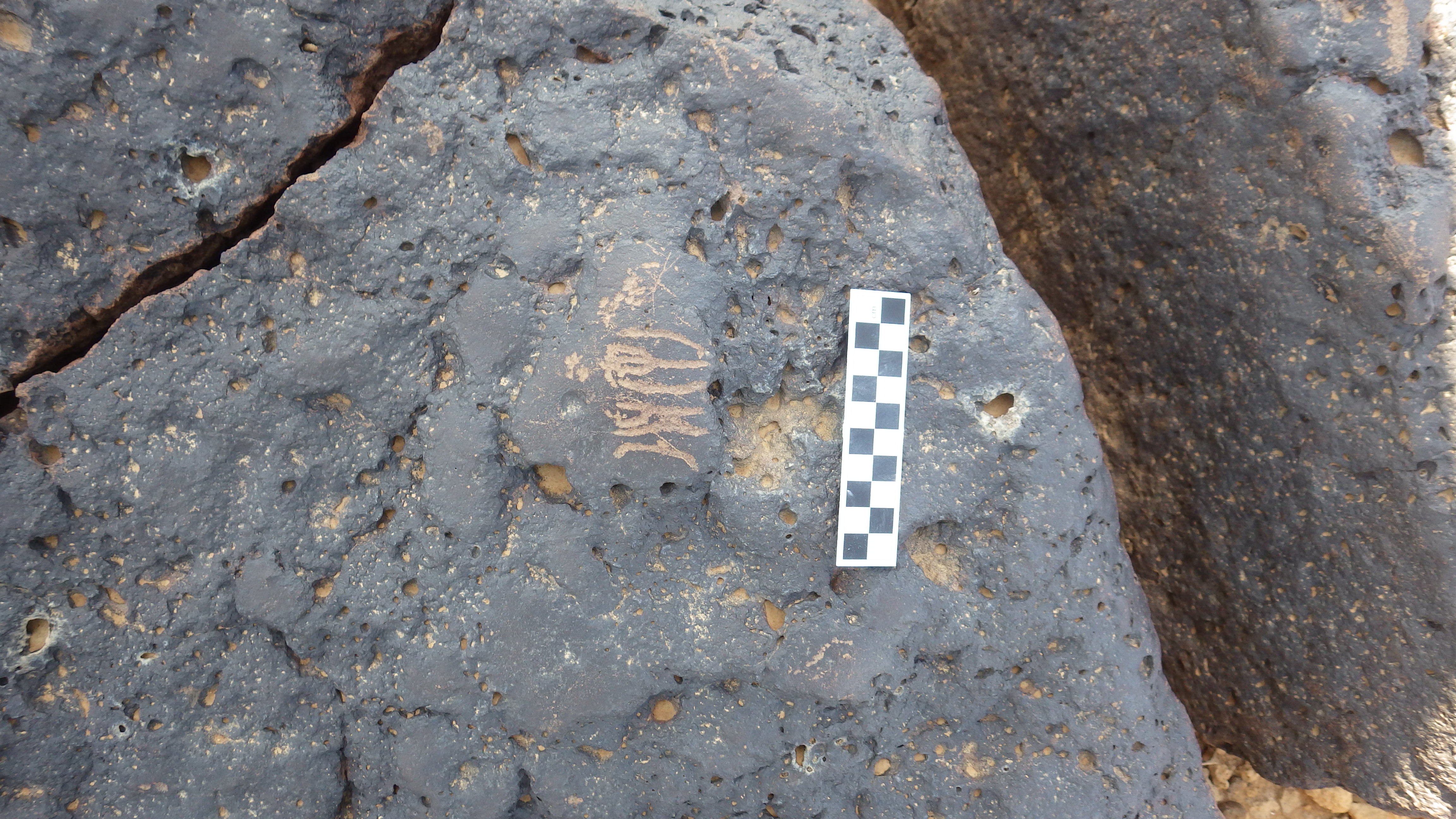 Image of siglum BES20 1212