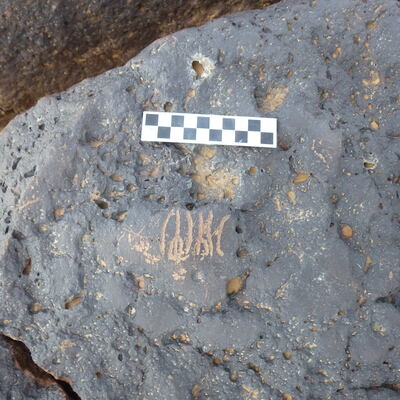 Image of siglum BES20 1212