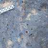 Image of siglum BES20 1213