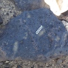 Image of siglum BES20 1218