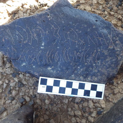 Image of siglum BES20 1223