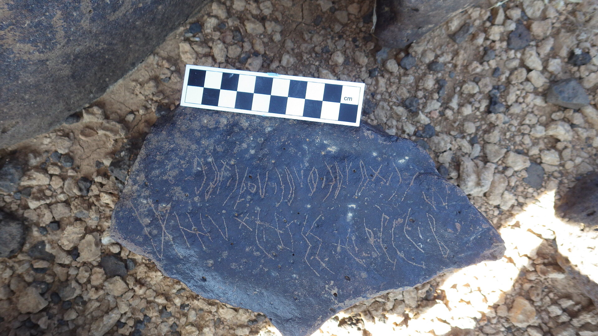 Image of siglum BES20 1223