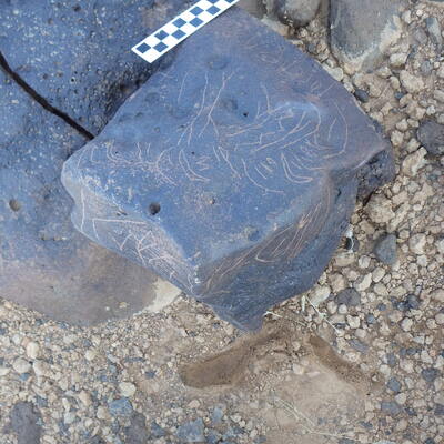 Image of siglum BES20 1224