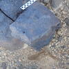 Image of siglum BES20 1224