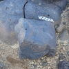 Image of siglum BES20 1224
