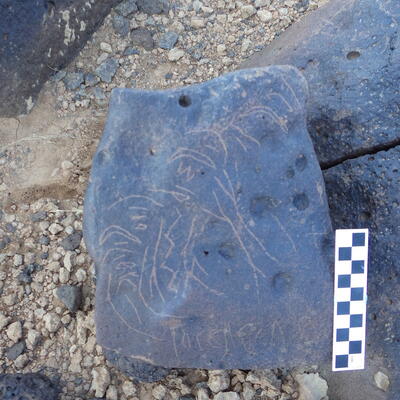 Image of siglum BES20 1225