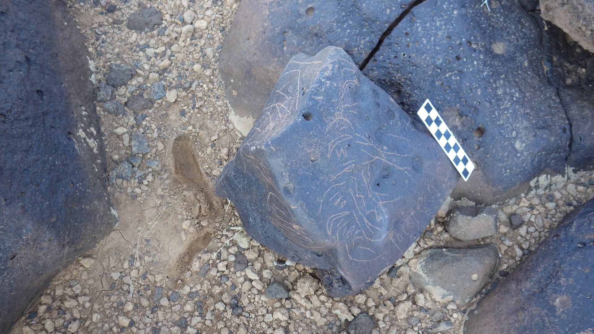 Image of siglum BES20 1226