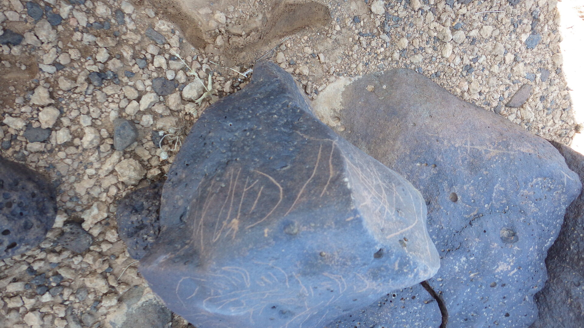 Image of siglum BES20 1226
