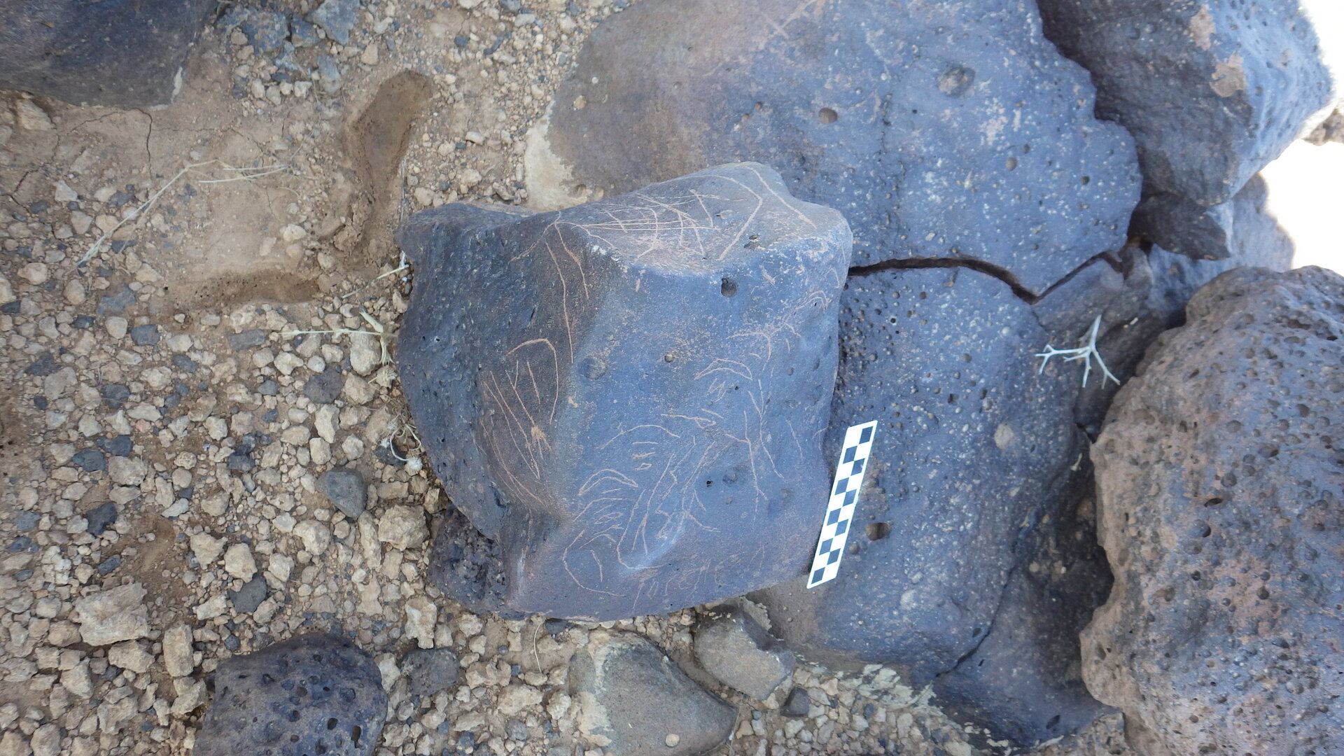 Image of siglum BES20 1226